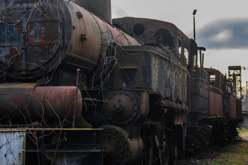 Fototapeta na wymiar rostige verwachsene lokomotive