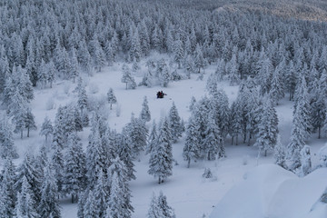 A group of tourists stands in a clearing in the middle of the winter Ural forest