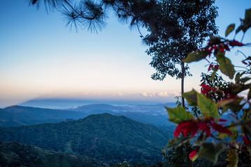 Sunrise in the hills of Minca, Colombia, a small town in the Sierra Madre mountains well known by...