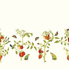Vector realistic botany tomato garden repeat border with tomato plant, butterfly, frog, ladybug. Elegant summer design, garden lovers, kitchen wear. Wildlife background.