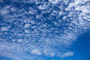 Naklejka na ściany i meble Small and numerous rounded clouds. Clouds of globular appearance. Day photography