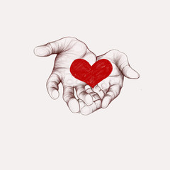 Hand drawn illustration of hands holding a heart. Drawn illustration on white background.