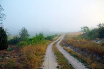 Fototapeta na wymiar A road that leads away through the fog