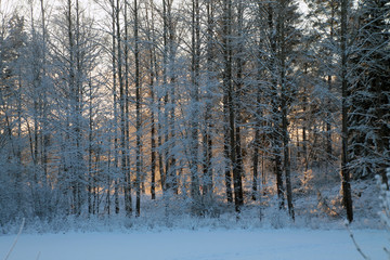 Sunrise on winter morning
