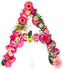 letter A in flower alphabet, real flower abc, pink, red, yellow and white