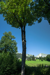 Thurfälle - Wildhauser Schafberg - Wildhaus - Toggenburg