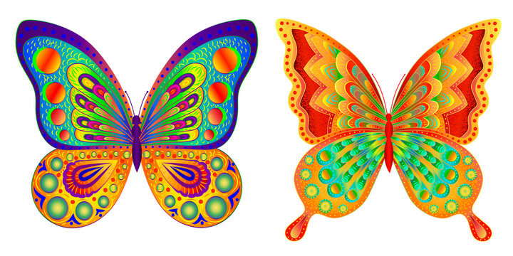 Butterflies. Abstract, multi-colored, image of butterflies on a white background.