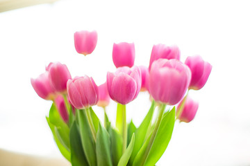 bouquet of tulips