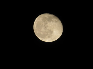 Concept of a spooky theme and mystery. Canon Powershot540