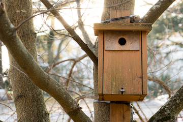 wood nest