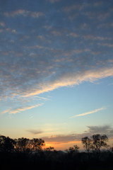 Sunset with trees silhouette, blue sky and gray clouds.