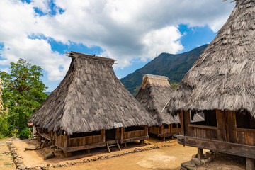 Fototapeta na wymiar Wologai Ethnic Spiritual Village on Flores island. A traditional houses in the Wologai village near Kelimutu in East Nusa Tenggara, Indonesia.