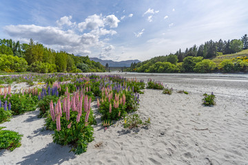 Shotover River, New Zealand