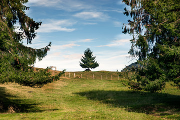 Lecknertal - lecknersee - Hittisau 
