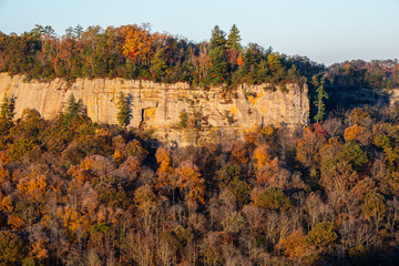 Fototapeta premium Rock in Forest