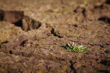 The bottom of the empty Studena dam near Pernik, Bulgaria. Hot weather and climate changes makes the dam almost empty. November 2019. Climate disaster.