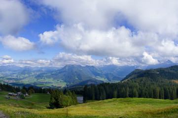 Fototapeta na wymiar Schwarzenberg - Hämmerles Alpe - wandern