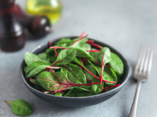 Fresh salad of green chard leaves or mangold on gray stone background. Fresh baby beet leaves in craft ceramic bowl. Copy space for text. Natural day light