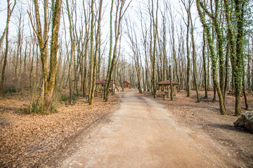 Forest Forest Izmit City Park, in the Giant Forest Park, zoo for children, hiking trails, lakes and bike trails available, on January 14, Kocaeli, Turkey