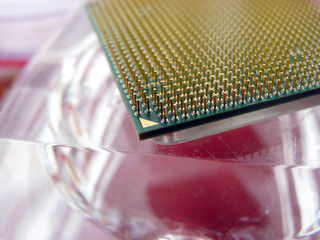 Computer processor pins macro close up