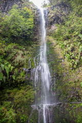 Fototapeta na wymiar Caldeirao Verde waterfall at the end of the hiking trail on the Levada Caldeirao Verde near Santana on the island of Madeira, Portugal.