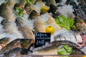 sale of fresh river fish in the grocery market