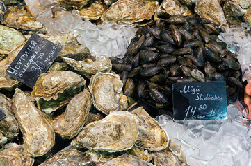 fresh oyster and mussels on ice