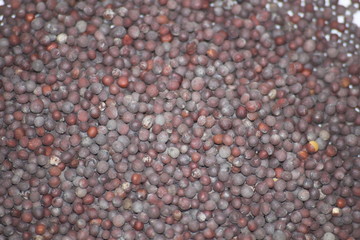 pile of dry indian mustard seeds spice macro as background