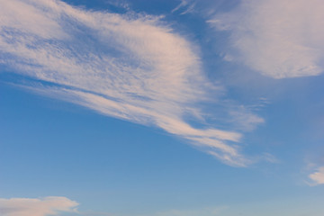 Fototapeta premium Cirrus clouds against the blue sky in summer