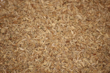 pile of ajwain seeds spice macro as background