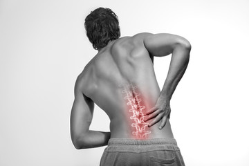 Back pain area, human spine illustration, backache