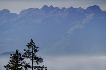 Wanderung  Gebhardsberg - Fluh - Pfänder mit mystischem Wald