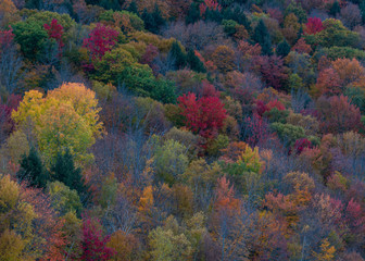 Colors of Vermont