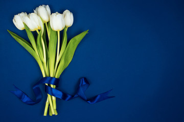 A bouquet of white tulips tied with a ribbon. On a blue background. Postcard for Valentine's Day and March 8th