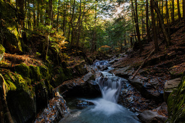 Obraz premium Hidden Waterfall