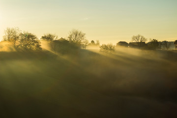 Sunrise over trees and houses on hill in foggy morning