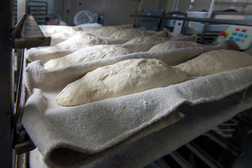 production of bakery products in a private bakery