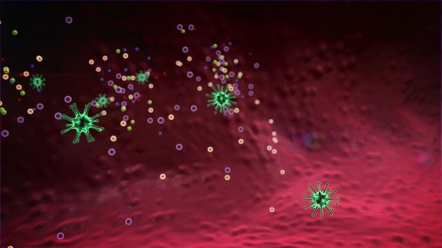 antibodies attack the coronavirus, virus cell and Lymphocytes, T-lymphocytes attack a migrating viruses, virus attacked by lymphocytes, Macrophage attack of the viruses