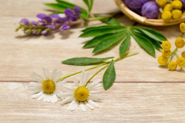 Close up chamomiles on the wooden table. Layout of purple flowers and green leaves.
