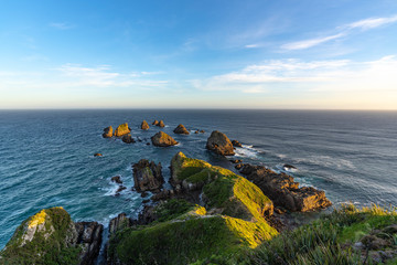 Nugget Point, New Zealand