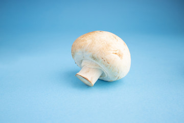 Bunch of fresh champignon mushrooms on the blue background. Close up of vegetarian healthy food.