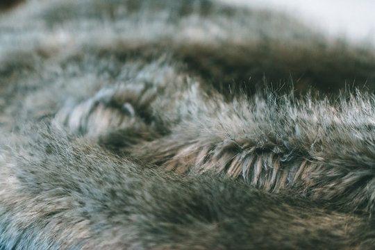 Fur Blanket