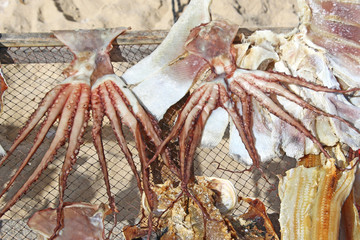 Fish Market on Nazare Beach, Portugal	