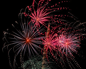 Several colorful fireworks exploding in the dark sky in the middle of the night. The explosions...