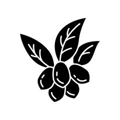 Jojoba black glyph icon. Fruits with leaves. Botany. Brazilian exotic plant. Miracle fruit. Сosmetic oil production. Silhouette symbol on white space. Vector isolated illustration