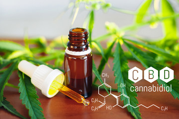 Cannabis oil, CBD oil cannabis extract, Medical marijuana. Medicinal CBD. Structural model of...