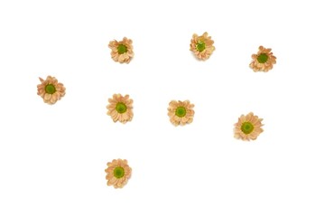 Blurred a group of  sweet Chrysanthemum flower blossom on white isolated background