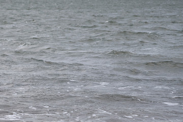  Blurred waving surface of stormy sea water on a sunset with reflection of the sunlight as a natural background.