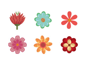 bundle of flowers naturals icons vector illustration design