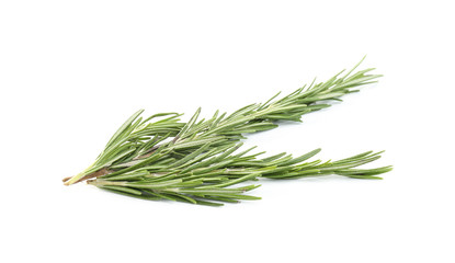 Fototapeta premium Fresh green rosemary isolated on white. Aromatic herb
